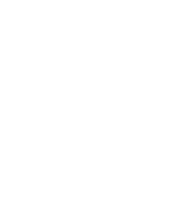 ELSHAN Logo