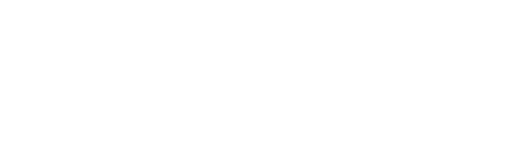 ELSHAN Logo Large